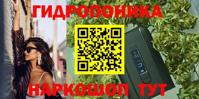 ALPHA PVP Гудермес