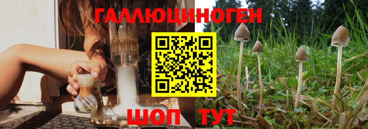 Борисоглебск  Псилоцибиновые грибы Cubensis  Вход с VPN  Псилоцибиновые грибы мухоморы 